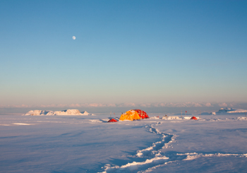 Field site on the Disko Island ice cap of west Greenland