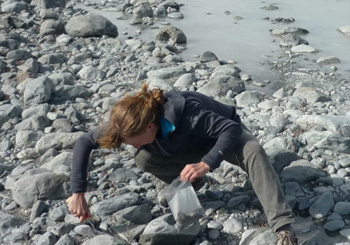 Bess Koffman samples fresh silt, called glacial flour, produced by the Tasman Glacier in New Zealand