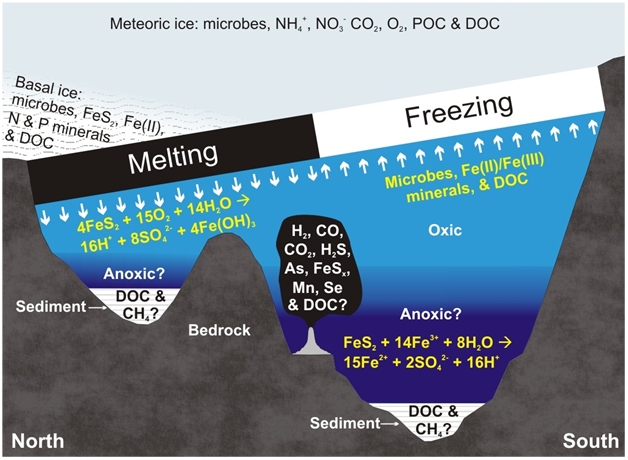 Hypothetical scenario for a chemosynthetic ecosystem in Subglacial Lake Vostok